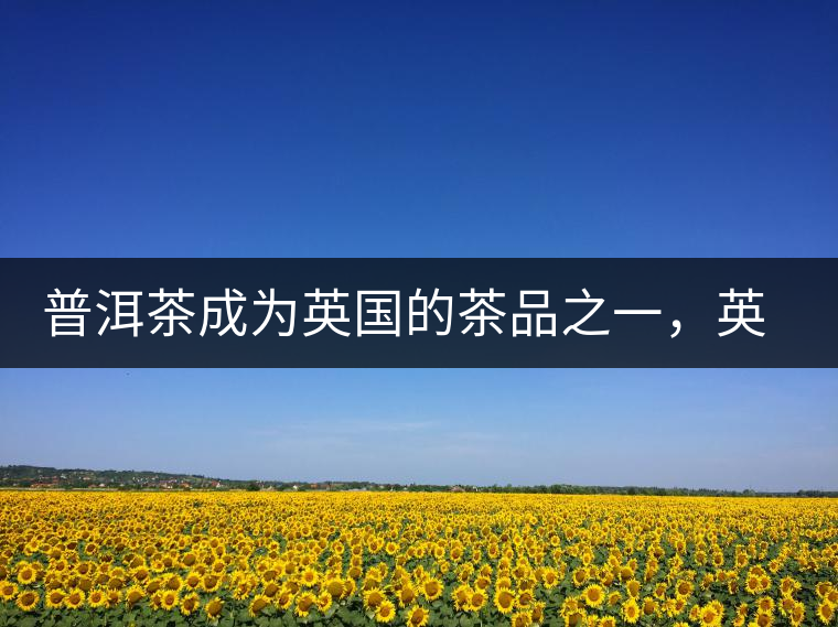 普洱茶成為英國(guó)的茶品之一，英國(guó)雜志給出7大理由