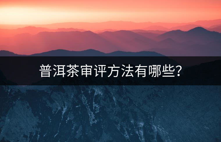 普洱茶審評方法有哪些？