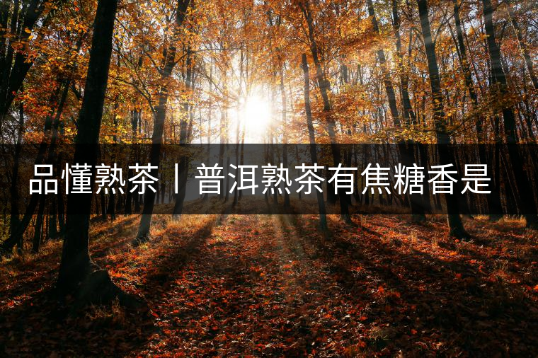 品懂熟茶丨普洱熟茶有焦糖香是好還是不好的表現(xiàn)？