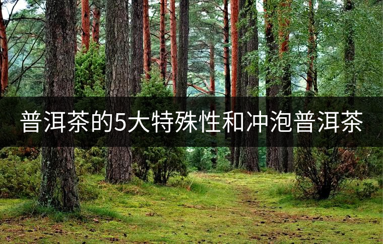 普洱茶的5大特殊性和沖泡普洱茶3大常踩誤區(qū) 普洱茶的5大特殊性和沖泡普洱茶3大常踩誤區(qū)