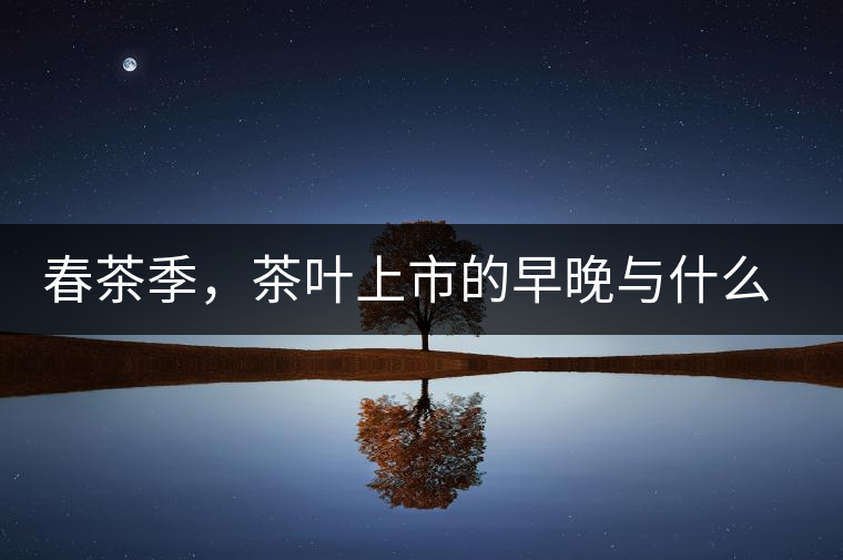 春茶季，茶葉上市的早晚與什么有關