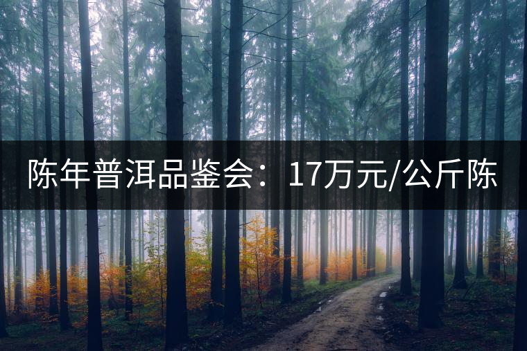 陳年普洱品鑒會：17萬元/公斤陳茶 天月茶城免費(fèi)喝