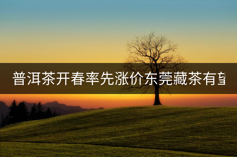 普洱茶開(kāi)春率先漲價(jià)東莞藏茶有望“開(kāi)倉(cāng)” 普洱茶開(kāi)春率先漲價(jià)東莞藏茶有望“開(kāi)倉(cāng)”