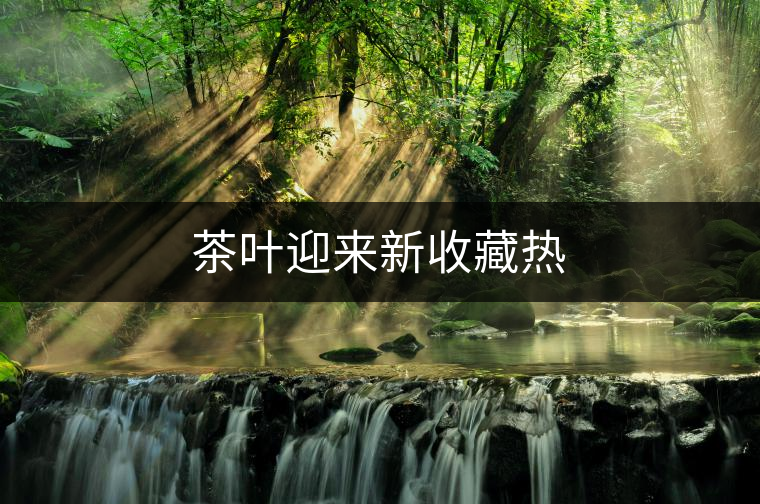 茶葉迎來新收藏?zé)? alt=