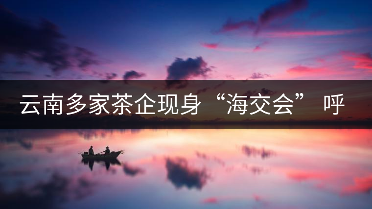 云南多家茶企現(xiàn)身“海交會” 呼吁普洱茶投資應(yīng)理性