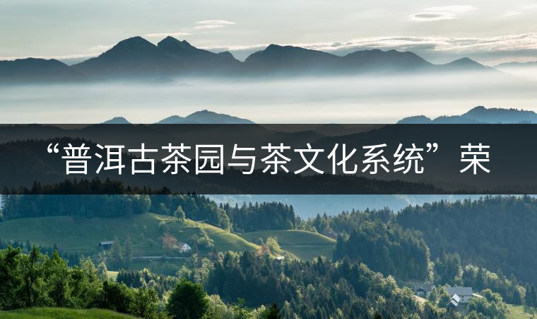 “普洱古茶園與茶文化系統(tǒng)”榮膺中國(guó)首批重要農(nóng)業(yè)文化遺產(chǎn)