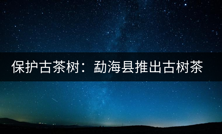 保護(hù)古茶樹:勐海縣推出古樹茶認(rèn)養(yǎng)活動(dòng) 保護(hù)古茶樹:勐海縣推出古樹茶認(rèn)養(yǎng)活動(dòng)
