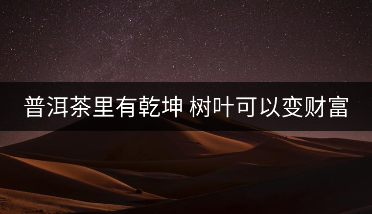 普洱茶里有乾坤 樹(shù)葉可以變財(cái)富 普洱茶里有乾坤 樹(shù)葉可以變財(cái)富