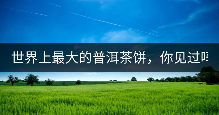 世界上最大的普洱茶餅，你見(jiàn)過(guò)嗎？