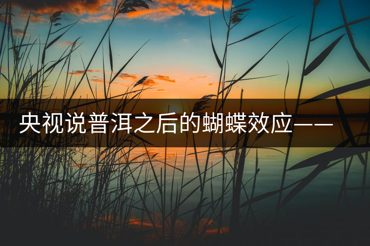 央視說(shuō)普洱之后的蝴蝶效應(yīng)——過(guò)度開(kāi)采會(huì)出現(xiàn)“死循環(huán)”？