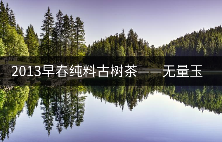 2013早春純料古樹茶——無量玉璧 2013早春純料古樹茶——無量玉璧