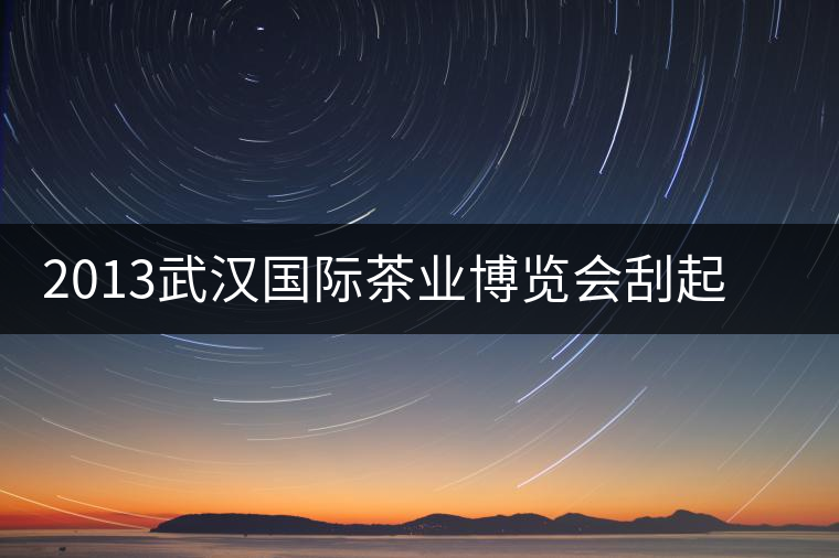 2013武漢國際茶業(yè)博覽會(huì)刮起一股“黑旋風(fēng)