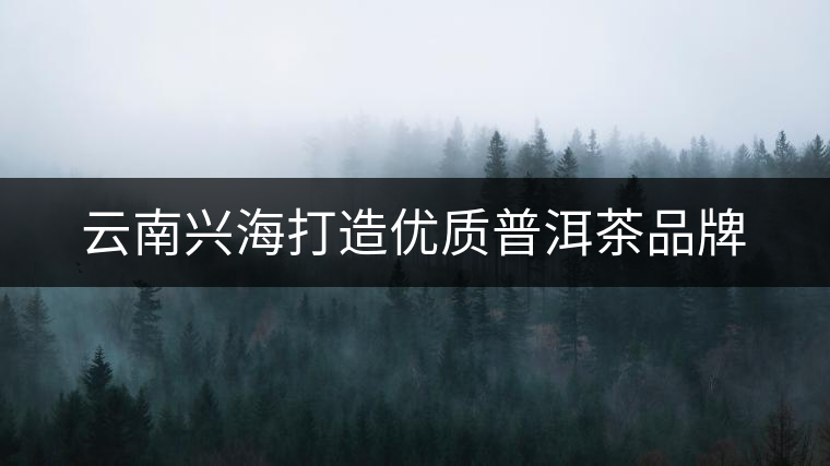 云南興海打造優(yōu)質普洱茶品牌 云南興海打造優(yōu)質普洱茶品牌