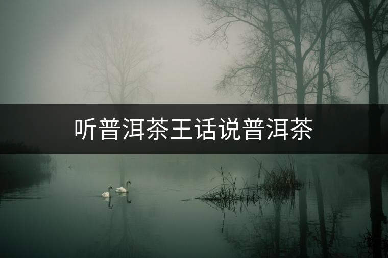 聽(tīng)普洱茶王話說(shuō)普洱茶 聽(tīng)普洱茶王話說(shuō)普洱茶