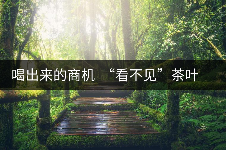 喝出來的商機 “看不見”茶葉的普洱茶 喝出來的商機 “看不見”茶葉的普洱茶