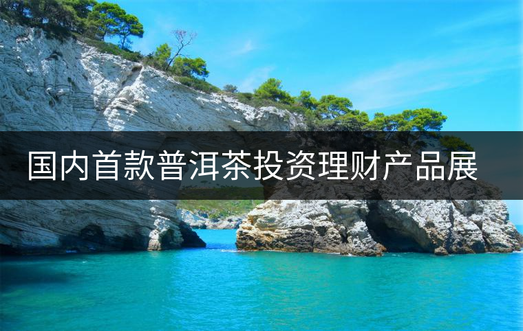 國內(nèi)首款普洱茶投資理財(cái)產(chǎn)品展開行權(quán)前路演 國內(nèi)首款普洱茶投資理財(cái)產(chǎn)品展開行權(quán)前路演