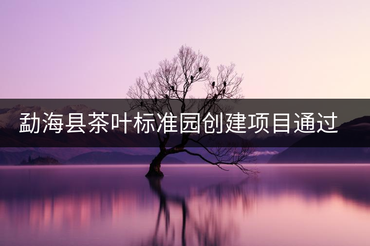 勐海縣茶葉標(biāo)準(zhǔn)園創(chuàng)建項目通過省級驗收 勐海縣茶葉標(biāo)準(zhǔn)園創(chuàng)建項目通過省級驗收
