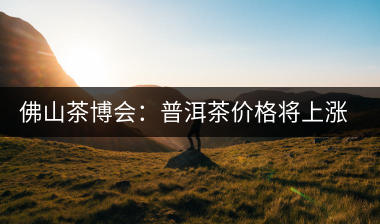 佛山茶博會:普洱茶價格將上漲三至四成 佛山茶博會:普洱茶價格將上漲三至四成