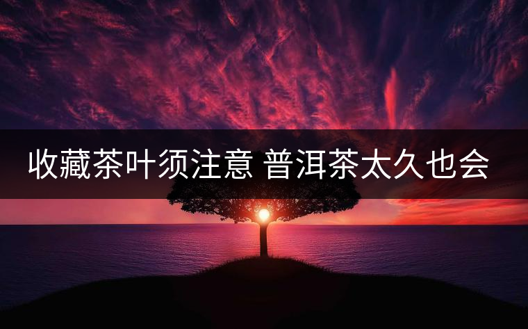 收藏茶葉須注意 普洱茶太久也會(huì)過(guò)期