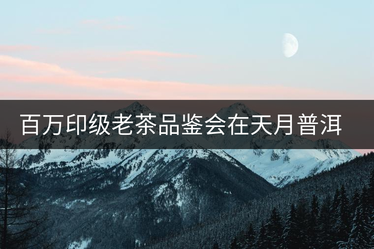 百萬(wàn)印級(jí)老茶品鑒會(huì)在天月普洱館成功舉辦