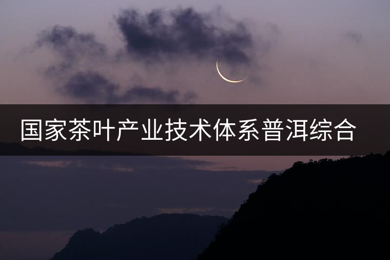 國(guó)家茶葉產(chǎn)業(yè)技術(shù)體系普洱綜合試驗(yàn)站召開(kāi)“十二五”工作培訓(xùn)會(huì) 國(guó)家茶葉產(chǎn)業(yè)技術(shù)體系普洱綜合試驗(yàn)站召開(kāi)“十二五”工作培訓(xùn)會(huì)