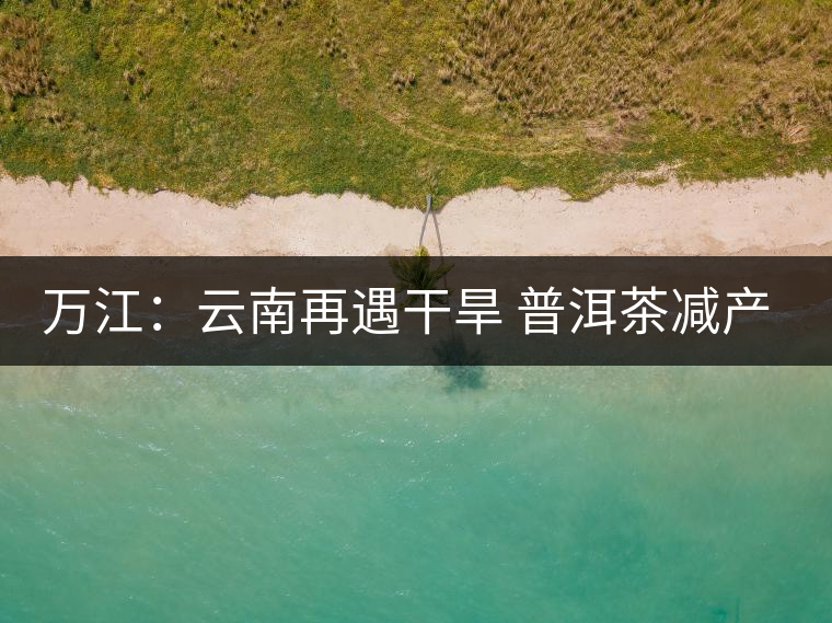 萬(wàn)江：云南再遇干旱 普洱茶減產(chǎn)漲價(jià)