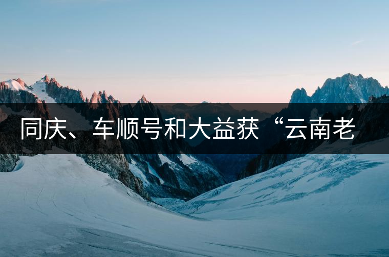 同慶、車順號(hào)和大益獲“云南老字號(hào)”稱號(hào)