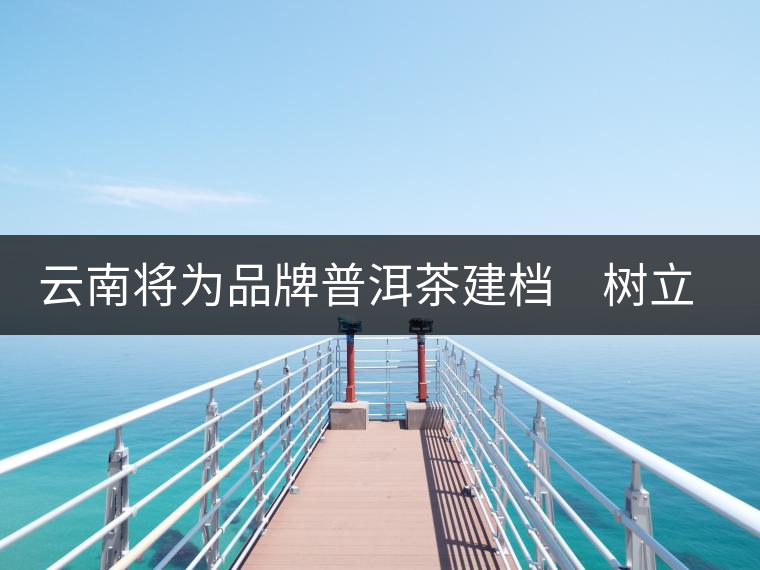 云南將為品牌普洱茶建檔 樹(shù)立產(chǎn)品整體形象 云南將為品牌普洱茶建檔 樹(shù)立產(chǎn)品整體形象
