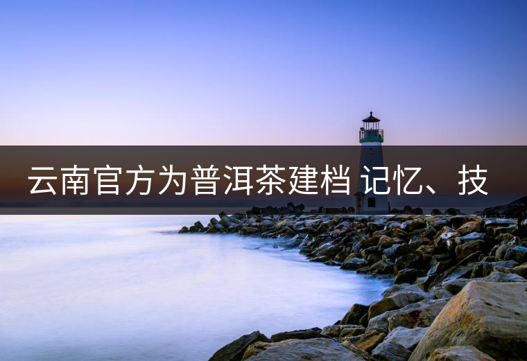 云南官方為普洱茶建檔 記憶、技藝雙傳承