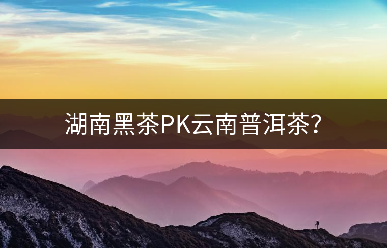 湖南黑茶PK云南普洱茶？