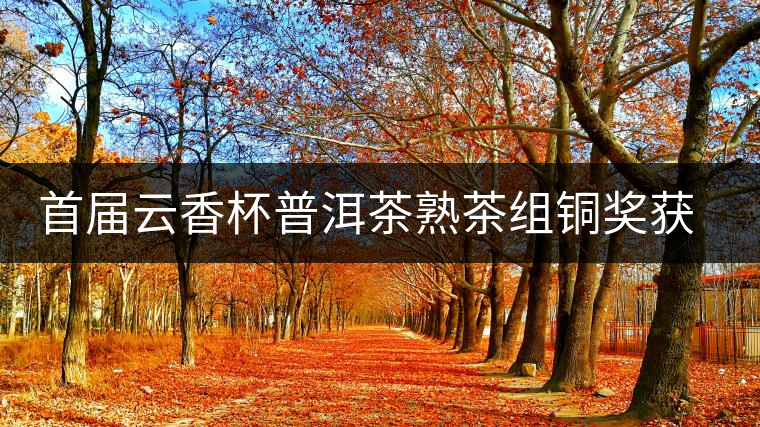 首屆云香杯普洱茶熟茶組銅獎(jiǎng)獲獎(jiǎng)名單