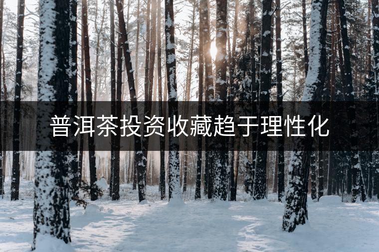普洱茶投資收藏趨于理性化 普洱茶投資收藏趨于理性化