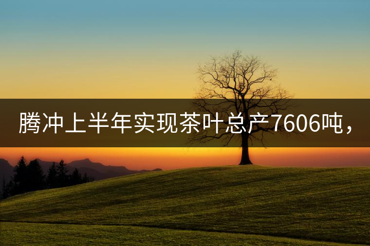 騰沖上半年實(shí)現(xiàn)茶葉總產(chǎn)7606噸，總產(chǎn)值5.58億元