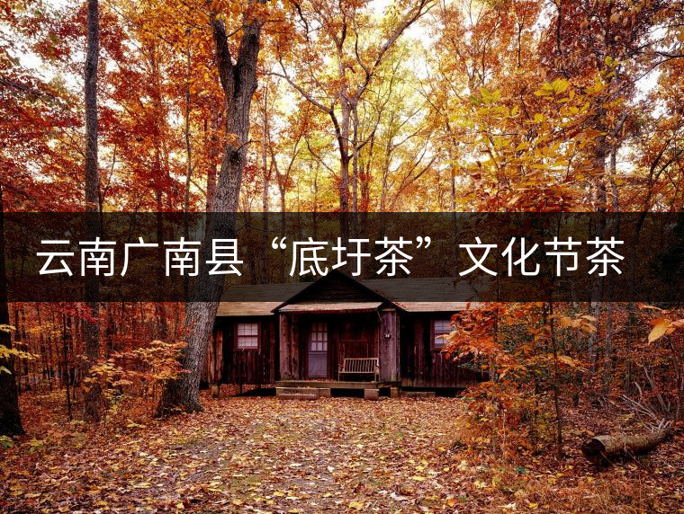 云南廣南縣“底圩茶”文化節(jié)茶品評(píng)會(huì)傳遞底圩傳統(tǒng)茶韻 云南廣南縣“底圩茶”文化節(jié)茶品評(píng)會(huì)傳遞底圩傳統(tǒng)茶韻