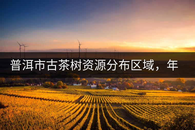 普洱市古茶樹資源分布區(qū)域，年產(chǎn)量多少?