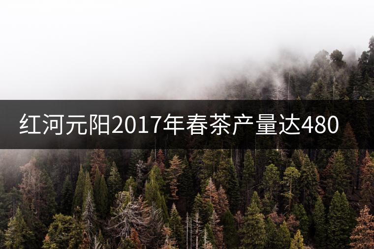 紅河元陽(yáng)2017年春茶產(chǎn)量達(dá)480噸，產(chǎn)值近900萬(wàn)元