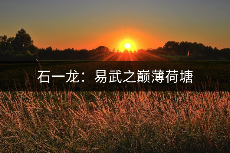 石一龍:易武之巔薄荷塘 石一龍:易武之巔薄荷塘
