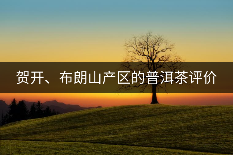 賀開、布朗山產(chǎn)區(qū)的普洱茶評價(jià)