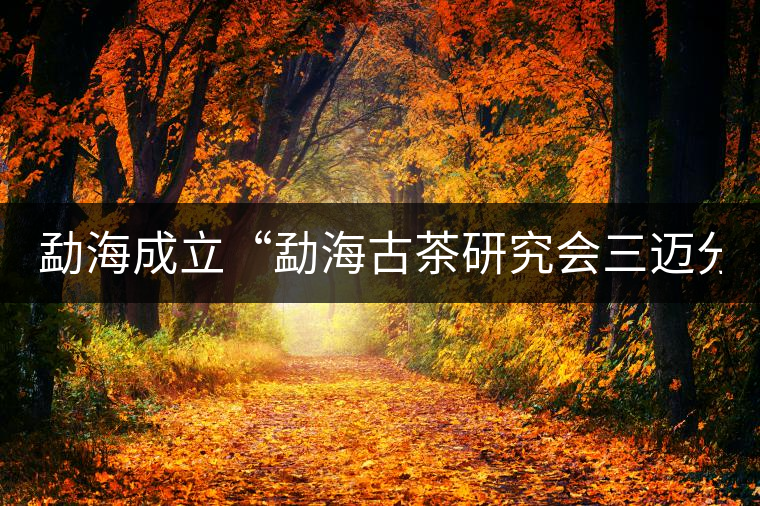 勐海成立“勐海古茶研究會(huì)三邁分會(huì)” 勐海成立“勐海古茶研究會(huì)三邁分會(huì)”