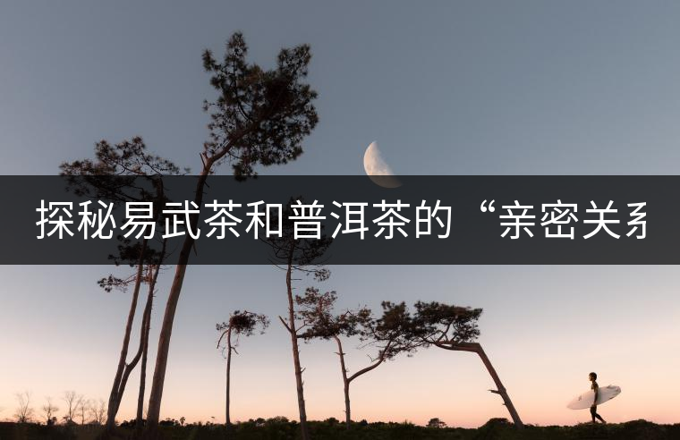 探秘易武茶和普洱茶的“親密關系” 探秘易武茶和普洱茶的“親密關系”