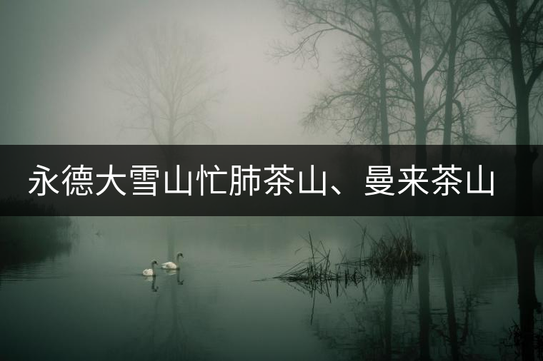 永德大雪山忙肺茶山、曼來茶山、放牛場茶園的生態(tài)指數(shù)