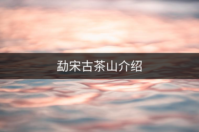 勐宋古茶山介紹