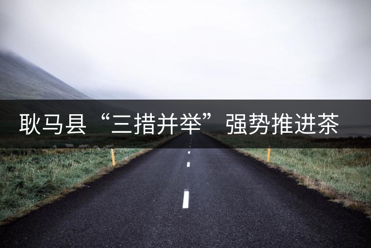 耿馬縣“三措并舉”強勢推進茶葉產業(yè)的發(fā)展