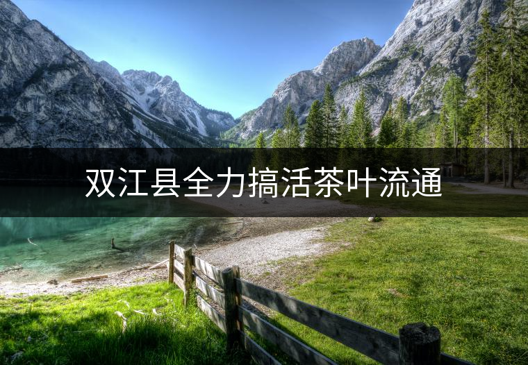 雙江縣全力搞活茶葉流通 雙江縣全力搞活茶葉流通