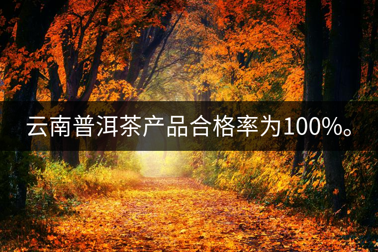 云南普洱茶產(chǎn)品合格率為100%。