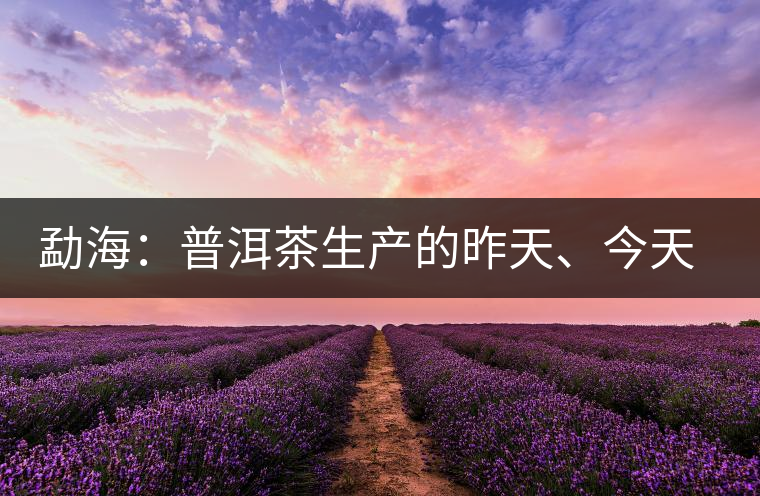 勐海：普洱茶生產(chǎn)的昨天、今天、明天