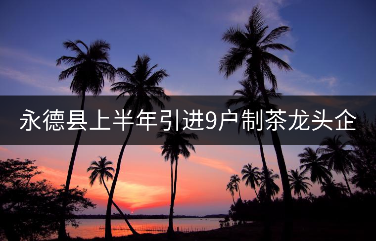 永德縣上半年引進(jìn)9戶(hù)制茶龍頭企業(yè) 永德縣上半年引進(jìn)9戶(hù)制茶龍頭企業(yè)