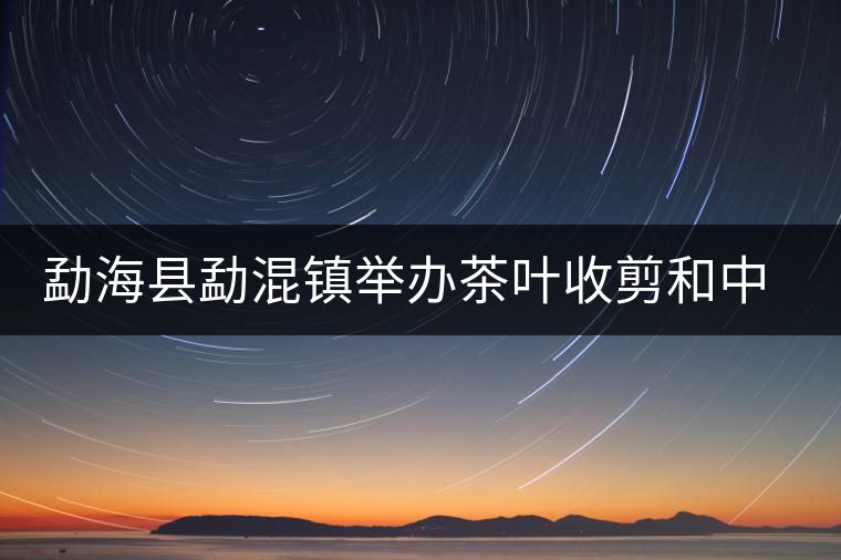 勐?？h勐混鎮(zhèn)舉辦茶葉收剪和中耕培土現(xiàn)場(chǎng)培訓(xùn)會(huì)