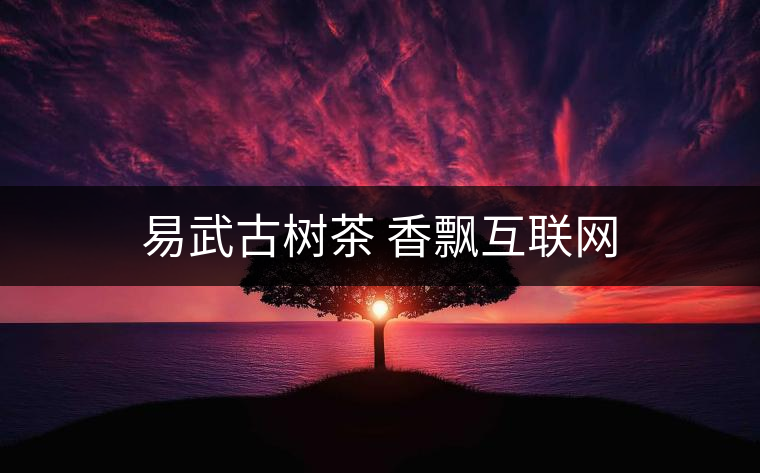 易武古樹茶 香飄互聯(lián)網(wǎng) 易武古樹茶 香飄互聯(lián)網(wǎng)