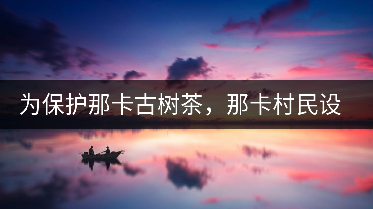 為保護(hù)那卡古樹茶，那卡村民設(shè)公約牌